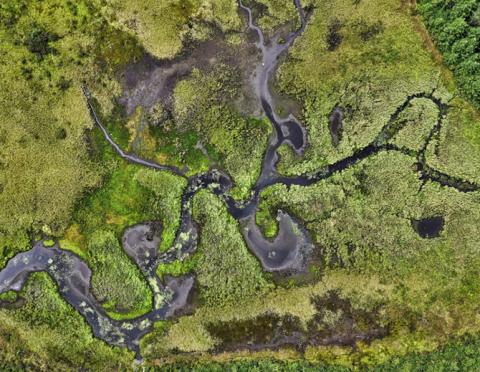 geodiverzita